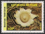 Stamps Niger -  SETAS-HONGOS: 1.202.005,00-Geastrum fimbriatum