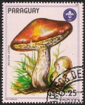 Stamps Paraguay -  SETAS-HONGOS: 1.209.002,00-Suillus luteus