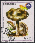 Stamps Paraguay -  SETAS-HONGOS: 1.209.005,00-Tricholoma terreum