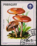 Stamps Paraguay -  SETAS-HONGOS: 1.209.006,00-Laccaria laccata