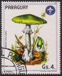 Stamps America - Paraguay -  SETAS-HONGOS: 1.209.007,00-Amanita phalloides