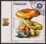 Sellos de America - Paraguay -  SETAS-HONGOS: 1.209.001,00-Lactarius deliciosus