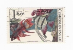 Stamps Czechoslovakia -  Peces