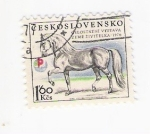Stamps Czechoslovakia -  Caballo