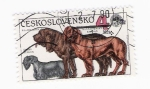 Stamps : Europe : Czechoslovakia :  Perros