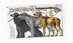 Stamps : Europe : Czechoslovakia :  Perros