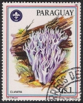 Stamps Paraguay -  SETAS-HONGOS: 1.209.013,00-Clavaria sp