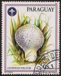 Stamps Paraguay -  SETAS-HONGOS: 1.209.015,00-Lycoperdon pelatum