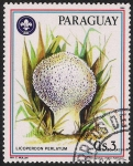 Sellos del Mundo : America : Paraguay : SETAS-HONGOS: 1.209.015,00-Lycoperdon pelatum