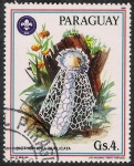 Stamps America - Paraguay -  SETAS-HONGOS: 1.209.016,00-Dictyophora duplicata