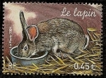 Stamps France -  Conejo