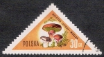 Sellos de Europa - Polonia -  SETAS-HONGOS: 1.211.001,00-Amanita phalloides
