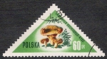 Sellos de Europa - Polonia -  SETAS-HONGOS: 1.211.004,00-Lactarius deliciosus