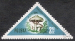 Stamps Poland -  SETAS-HONGOS: 1.211.006,00-Psalliota campestris