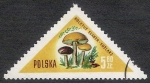Stamps Poland -  SETAS-HONGOS: 1.211.008,00-Boletus scaber