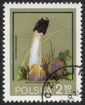Stamps Poland -  SETAS-HONGOS: 1.211.013,00-Strobilomyces floccopus