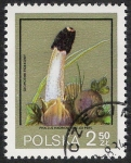 Sellos del Mundo : Europa : Polonia : SETAS-HONGOS: 1.211.013,00-Strobilomyces floccopus