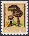 Stamps Poland -  SETAS-HONGOS: 1.211.014,00-Phallus hadriani