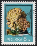 Sellos de Europa - Polonia -  SETAS-HONGOS: 1.211.015,00-Sparassis crispa