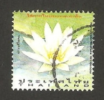 Sellos de Asia - Tailandia -  flora, nymphaea stellata willdenow