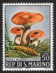 Sellos de Europa - San Marino -  SELLOS:222.205  Russula paludosa