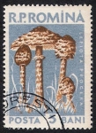 Stamps Romania -  SETAS-HONGOS: 1.213.001,00-Lepiota procera