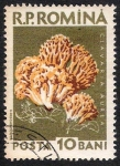 Sellos de Europa - Rumania -  SETAS-HONGOS: 1.213.002,00-Clavaria aurea