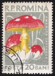 Stamps Romania -  SETAS-HONGOS: 1.213.003,00-Amanita caesarea
