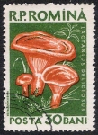 Stamps Romania -  SETAS-HONGOS: 1.213.004,00-Lactarius deliciosus