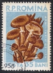 Stamps Romania -  SETAS-HONGOS: 1.213.005,00-Armillaria mellea