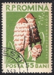 Stamps Romania -  SETAS-HONGOS: 1.213.006,00-Coprinus comatus