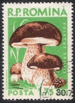 Stamps Romania -  SETAS-HONGOS: 1.213.009,00-Boletus edulis