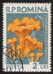 Stamps Romania -  SETAS-HONGOS: 1.213.010,00-Cantharellus cibarius
