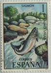 Sellos de Europa - Espa�a -  fauna hispanica-salmon-1977