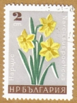 Stamps Europe - Bulgaria -  Flores
