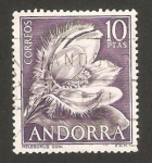 Stamps Andorra -  rosa de navidad