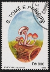 Stamps S�o Tom� and Pr�ncipe -  SETAS:220.050  Amanita caesarea