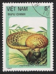 Stamps Vietnam -  SETAS:261.010  Poluporellus squamosus