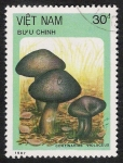 Stamps Vietnam -  SETAS:261.015   Cortinarius violaceus