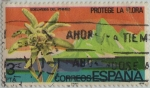 Sellos de Europa - Espa�a -  Proteccion a la naturaleza-Edelweiss del pirineo-1978