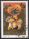 Stamps Vietnam -  SETAS:261.030  Amanita pantherina