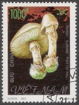 Stamps Vietnam -  SETAS:261.032  Amanita virosa
