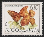 Stamps Yugoslavia -  SETAS:264.202   Morchella vulgaris