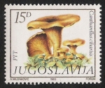 Sellos de Europa - Yugoslavia -  SETAS:264.204  Cantharellus cibarius