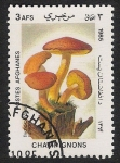 Stamps Afghanistan -  SETAS-HONGOS: 1.100.001,01-Tricholomópsis rútilans -Dm.985.30-Y&T1276-Mch.1411-Sc.1165A