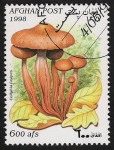 Stamps Afghanistan -  SETAS-HONGOS: 1.100.022,02-Collybia fusipes  -Dm.998.10-Mch.1762-Sc.1471
