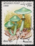 Stamps Afghanistan -  SETAS-HONGOS: 1.100.023,02-Stropharia aeruginosa  -Dm.998.11-Mch.1763-Sc.1472