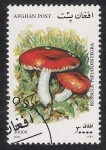 Stamps Asia - Afghanistan -  SETAS-HONGOS: 1.100.052,01-Russula pseudointegra -Mch.1952