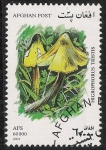 Stamps : Asia : Afghanistan :  SETAS-HONGOS: 1.100.055,01-Higrophorus tristis -Mch.1955
