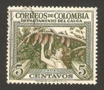Stamps Colombia -  cacao
